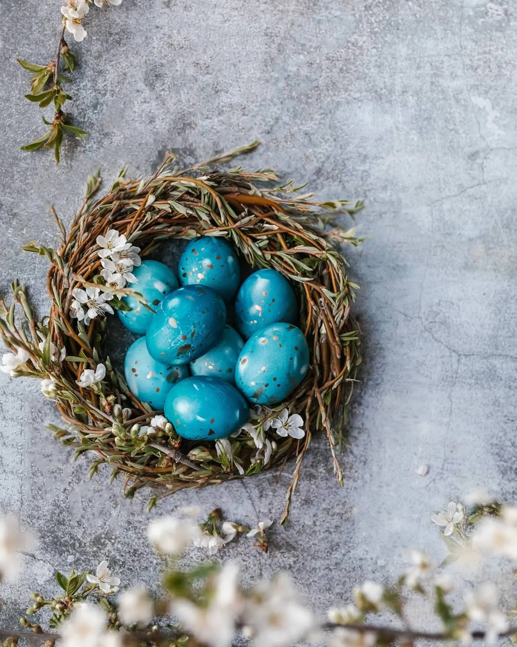 Яйца със сини петна лежат в гнездо с цветя. Яйца със сини петна лежат в гнездо с цветя. На преден план се виждат клони с цветя. Гнездото е върху сиво-син бетонен фон.